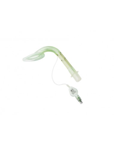 AURAONCE DISPOSABLE LARYNGEAL MASK N 2