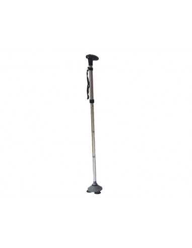 TRUSTY CANE with LED lights - silver