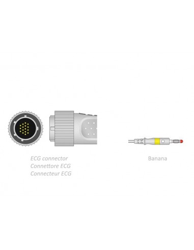 CÂBLE PATIENT ECG 2,2 m - banana - compatible avec Cardioline